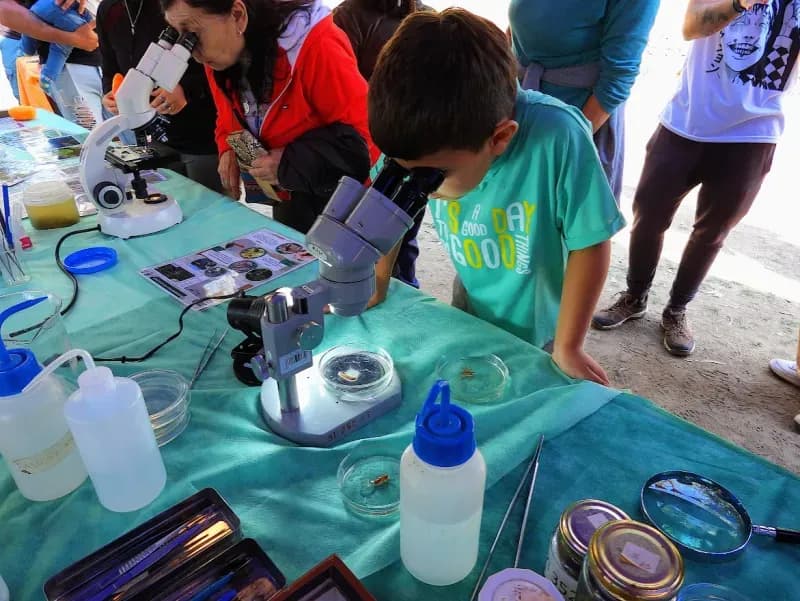 probe