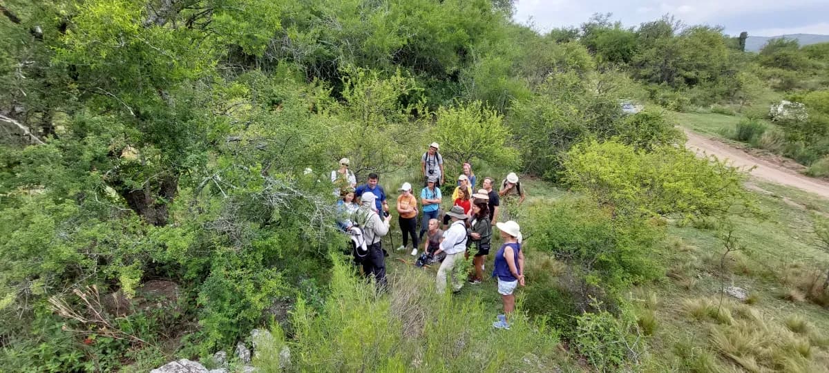 Grupo de personas recorriendo un sendero entre el monte serrano.