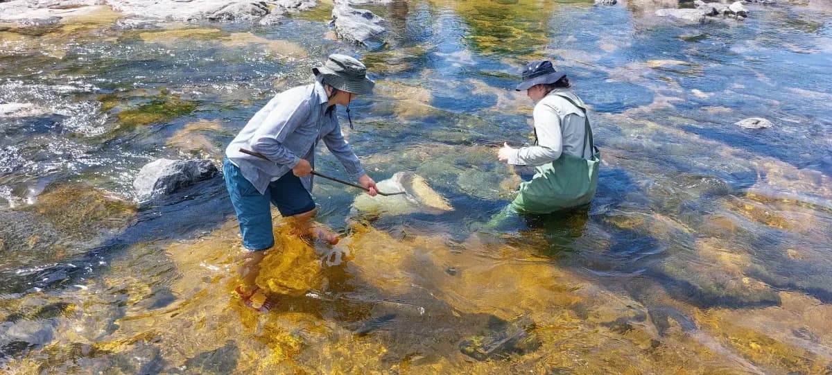 Dos personas con botas de pesca toman muestras de agua en el río.