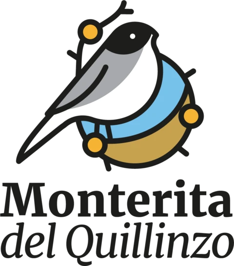 Monterita del Quillinzo — Fundación
